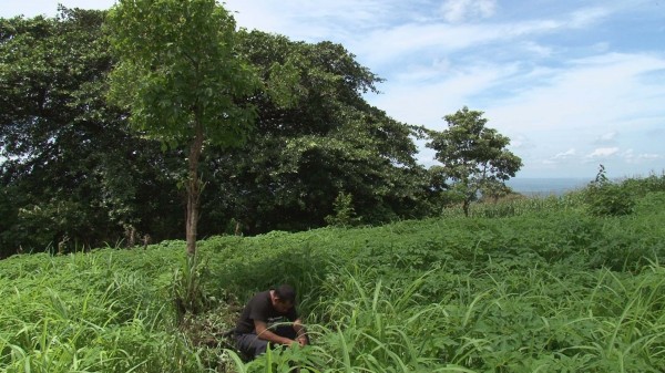 EL SILENCIO Y LA PALABRA